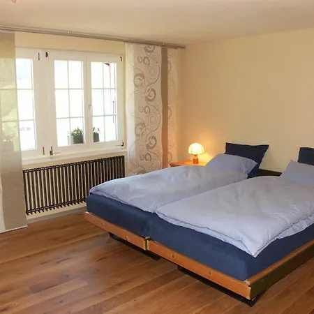 Aiiny Appartement Grindelwald